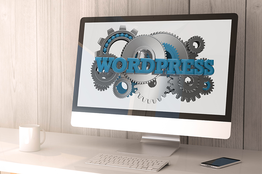 WordPress Theme and Web Developer